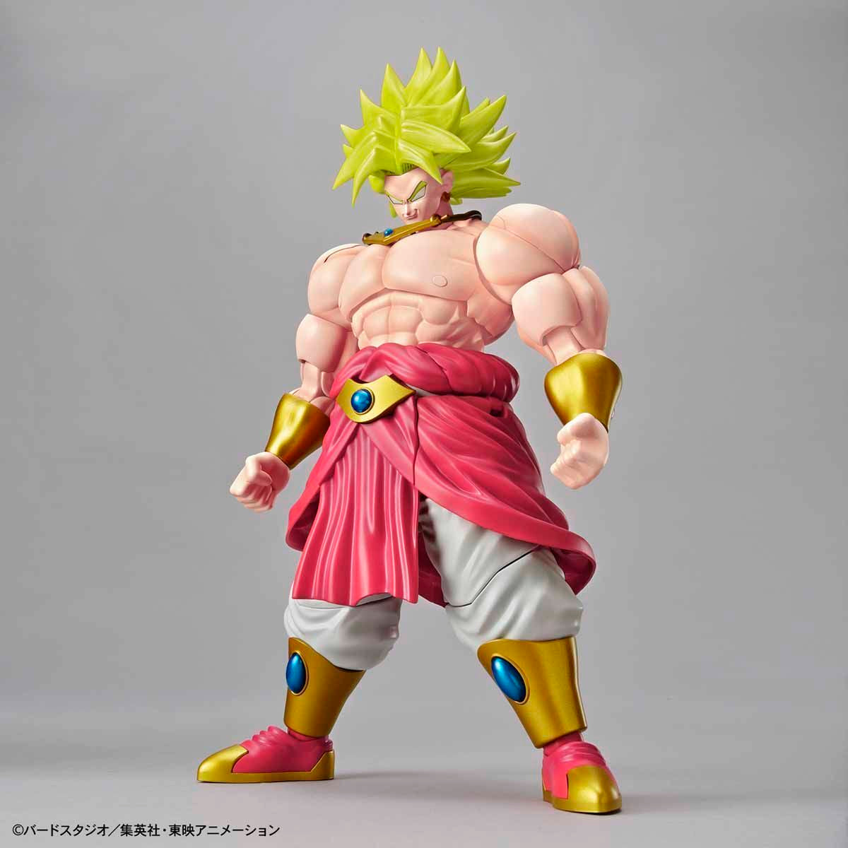 Legendary Super Saiyan Broly - Dragon Ball Z